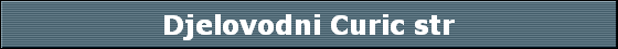 Djelovodni Curic str