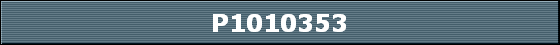 P1010353
