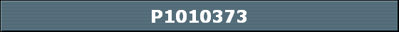 P1010373