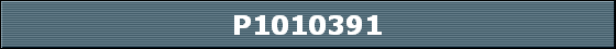 P1010391