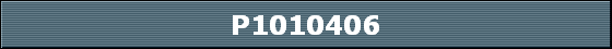 P1010406
