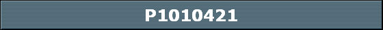 P1010421