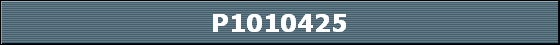 P1010425