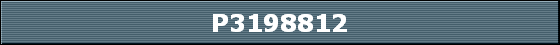 P3198812