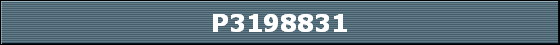 P3198831