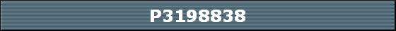 P3198838