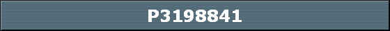 P3198841