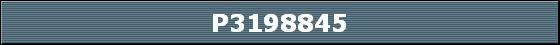 P3198845