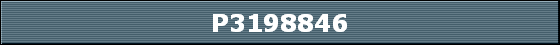 P3198846