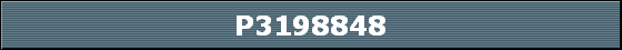 P3198848