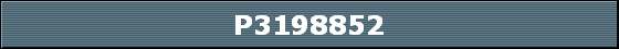 P3198852