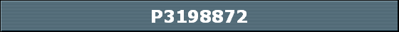 P3198872