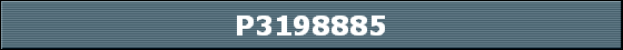 P3198885