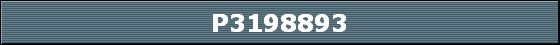 P3198893