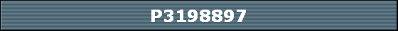 P3198897