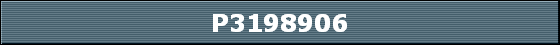 P3198906