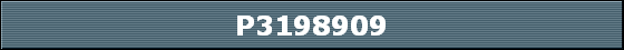P3198909
