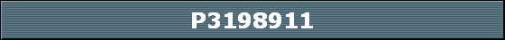 P3198911