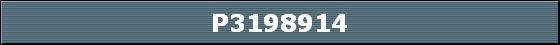 P3198914