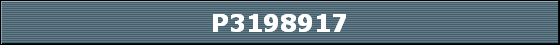 P3198917