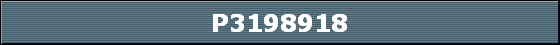 P3198918