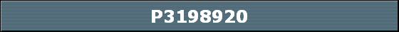 P3198920
