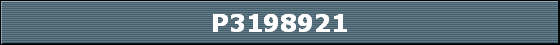P3198921