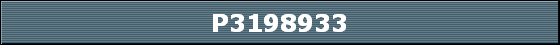 P3198933