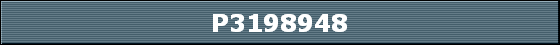 P3198948