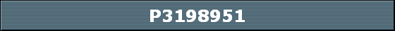 P3198951