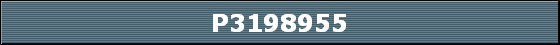 P3198955