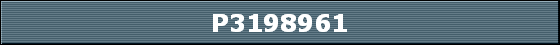 P3198961