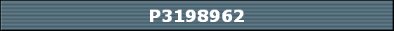 P3198962