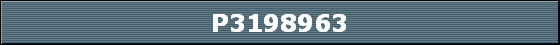 P3198963