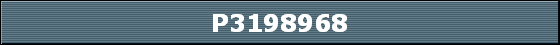 P3198968