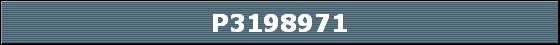 P3198971