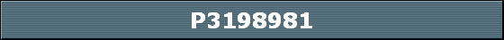 P3198981