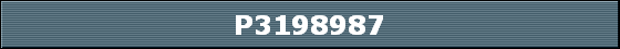 P3198987