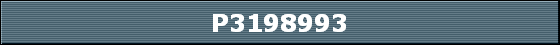 P3198993