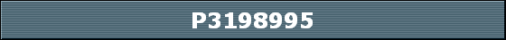 P3198995