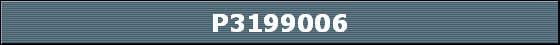 P3199006