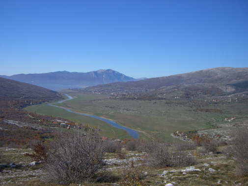 Prisoje