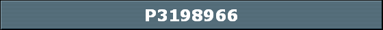 P3198966